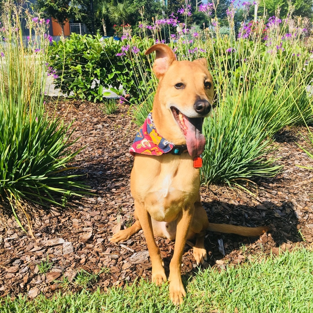 Meet your Posher, Lindsey